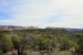 2015-09-30, 012, Escalante SP, UT, Petrified Forest Trail