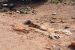 2015-09-30, 015, Escalante SP, UT, Petrified Forest Trail
