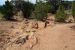 2015-09-30, 016, Escalante SP, UT, Petrified Forest Trail