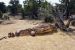 2015-09-30, 018, Escalante SP, UT, Trail of Sleeping Rainbows
