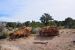2015-09-30, 020, Escalante SP, UT, Trail of Sleeping Rainbows