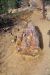 2015-09-30, 030, Escalante SP, UT, Trail of Sleeping Rainbows