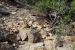 2015-09-30, 035, Escalante SP, UT, Trail of Sleeping Rainbows
