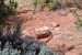 2015-09-30, 037, Escalante SP, UT, Trail of Sleeping Rainbows