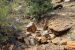 2015-09-30, 046, Escalante SP, UT, Trail of Sleeping Rainbows