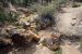 2015-09-30, 048, Escalante SP, UT, Trail of Sleeping Rainbows