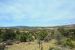 2015-09-30, 054, Escalante SP, UT, Trail of Sleeping Rainbows