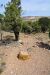 2015-09-30, 055, Escalante SP, UT, Petrified Forest Trail