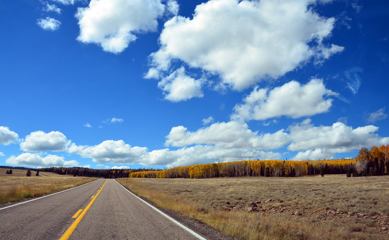 2015-10-04, 006, Cedar Breaks NM, UT, Along Rt 143