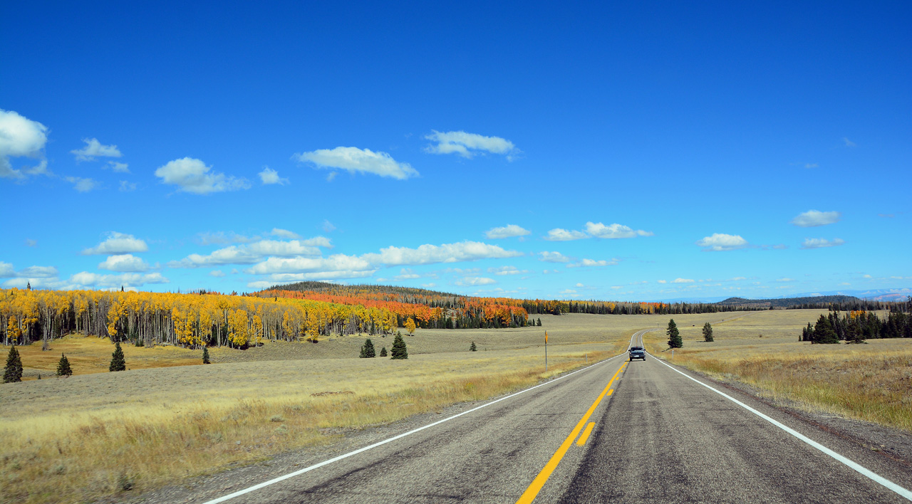 2015-10-04, 039, Cedar Breaks NM, UT, Along Rt 143