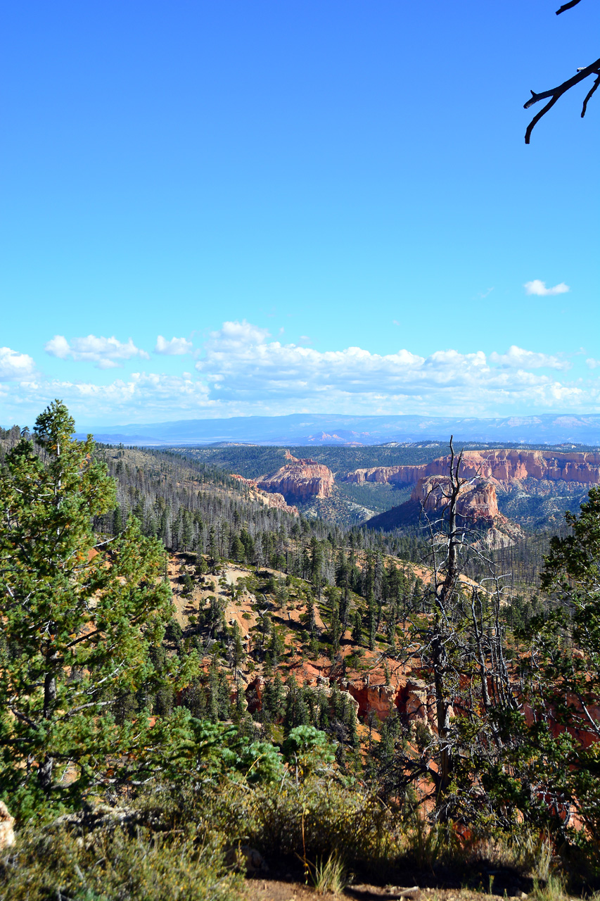 2015-10-02, 017, Bryce Canyon NP, UT, Piracy Point