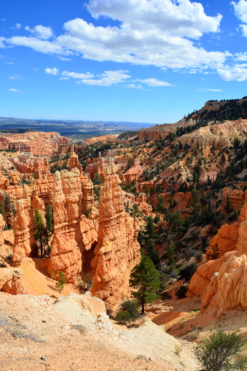 2015-10-02, 020, Bryce Canyon NP, UT, Fairyland Canyon