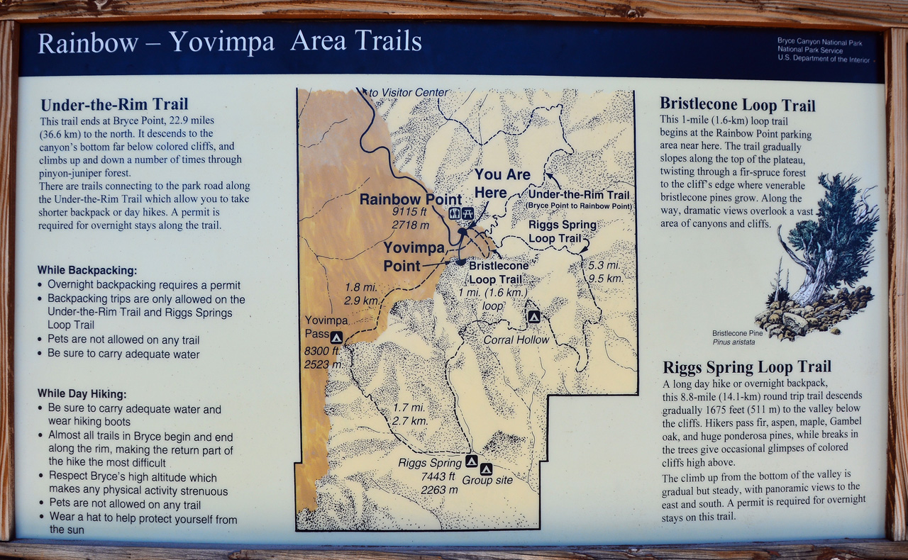2015-10-02, 013, Bryce Canyon NP, UT, Rainbow Point