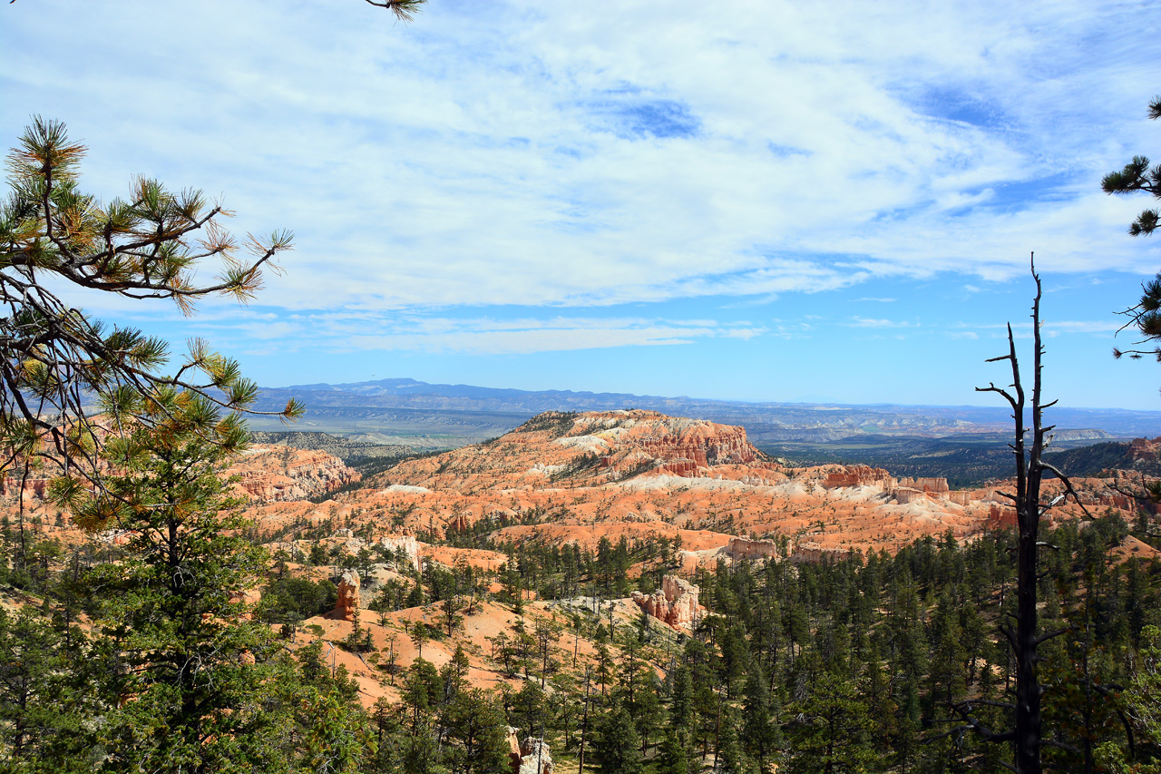 2015-10-01, 006, Bryce Canyon NP, Sunrise-Sunset Trail