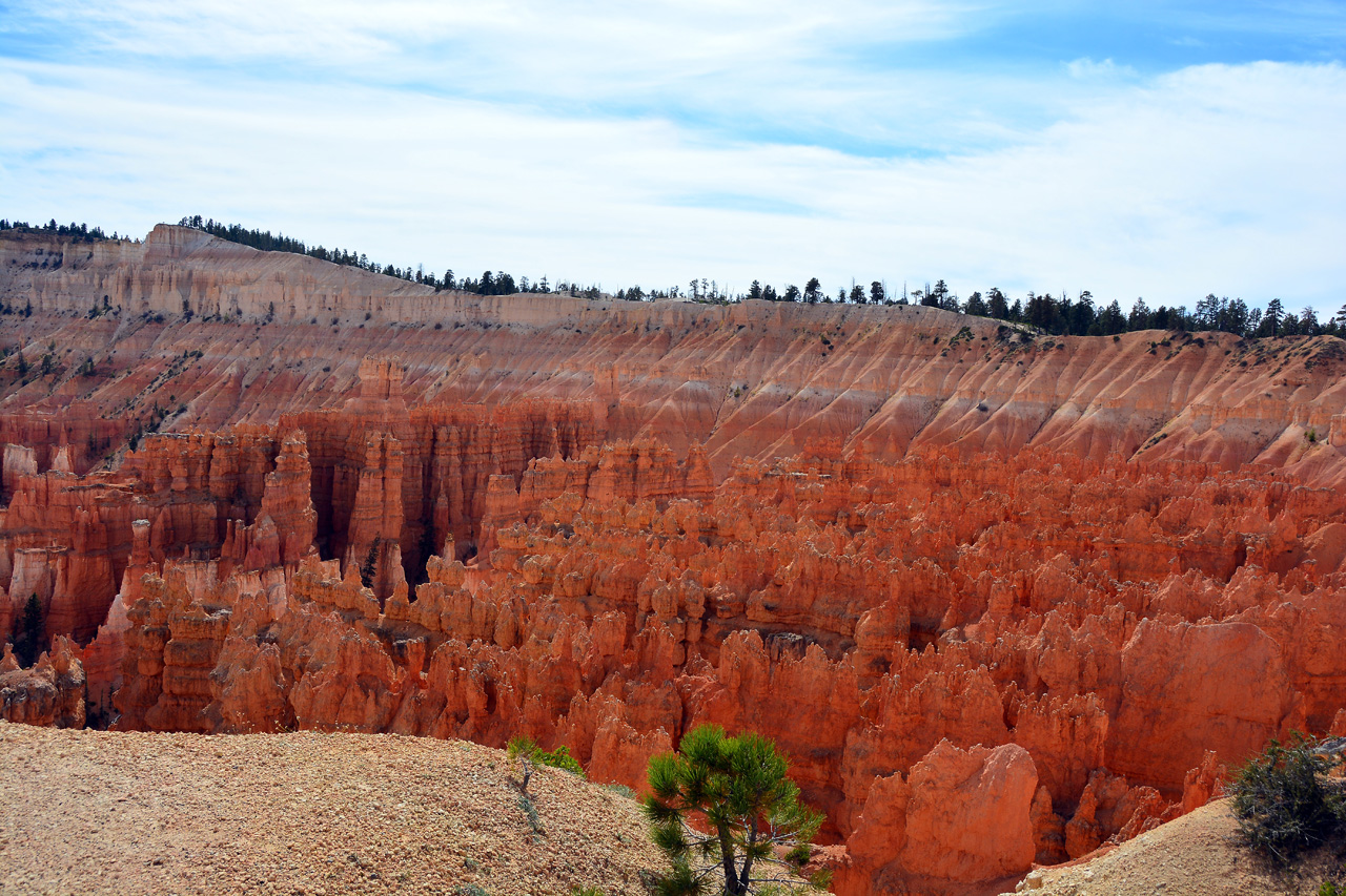 2015-10-01, 043, Bryce Canyon NP, Sunrise-Sunset Trail