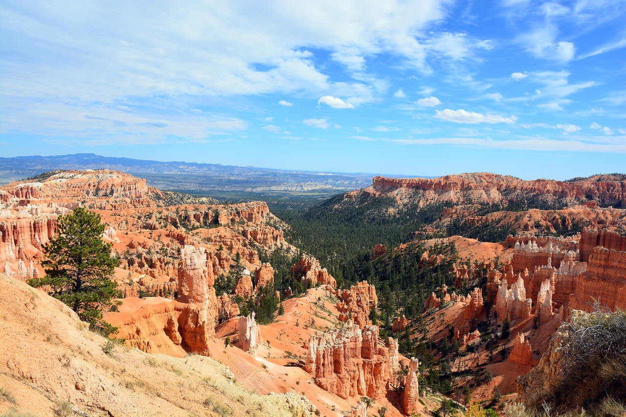 2015-10-01, 050, Bryce Canyon NP, Sunrise-Sunset Trail