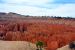 2015-10-01, 043, Bryce Canyon NP, Sunrise-Sunset Trail
