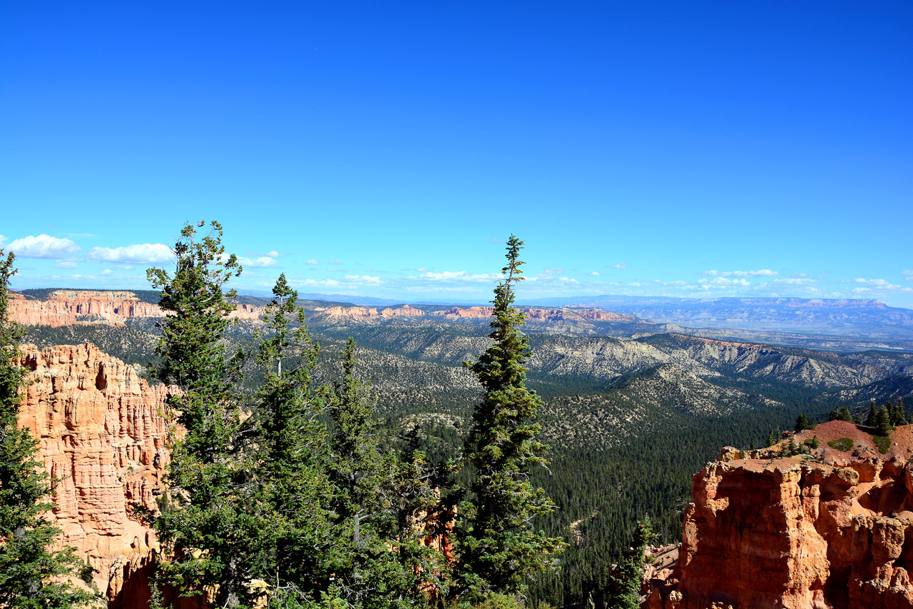 2015-10-02, 027, Bryce Canyon NP, UT, Ponderosa Ptr