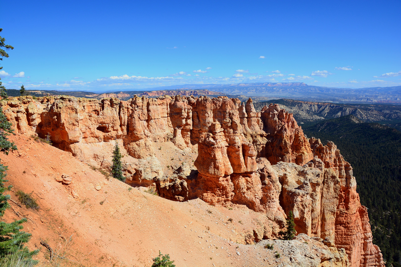 2015-10-02, 031, Bryce Canyon NP, UT, Black Birch