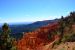 2015-10-02, 021, Bryce Canyon NP, UT, Ponderosa Ptr
