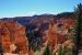 2015-10-02, 028, Bryce Canyon NP, UT, Black Birch