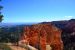 2015-10-02, 029, Bryce Canyon NP, UT, Black Birch