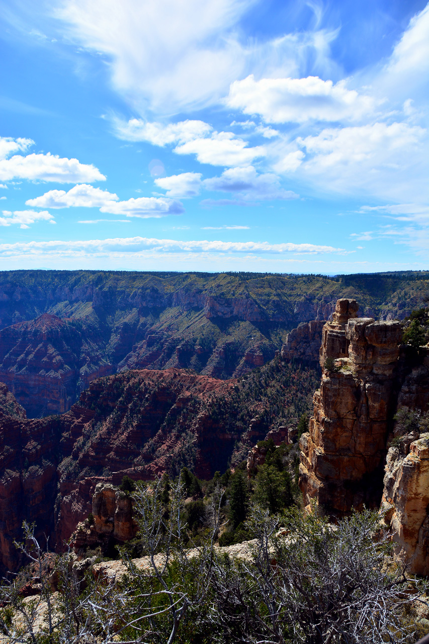 2015-10-10, 013, Grand Canyon NP, North Rim, Point Imperial