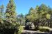 2015-10-09, 006, Grand Canyon NP, North Rim, Site 017