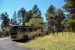 2015-10-09, 009, Grand Canyon NP, North Rim, Site 017