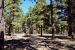 2015-10-10, 005, Grand Canyon NP, North Rim, Walhalla Ruin's