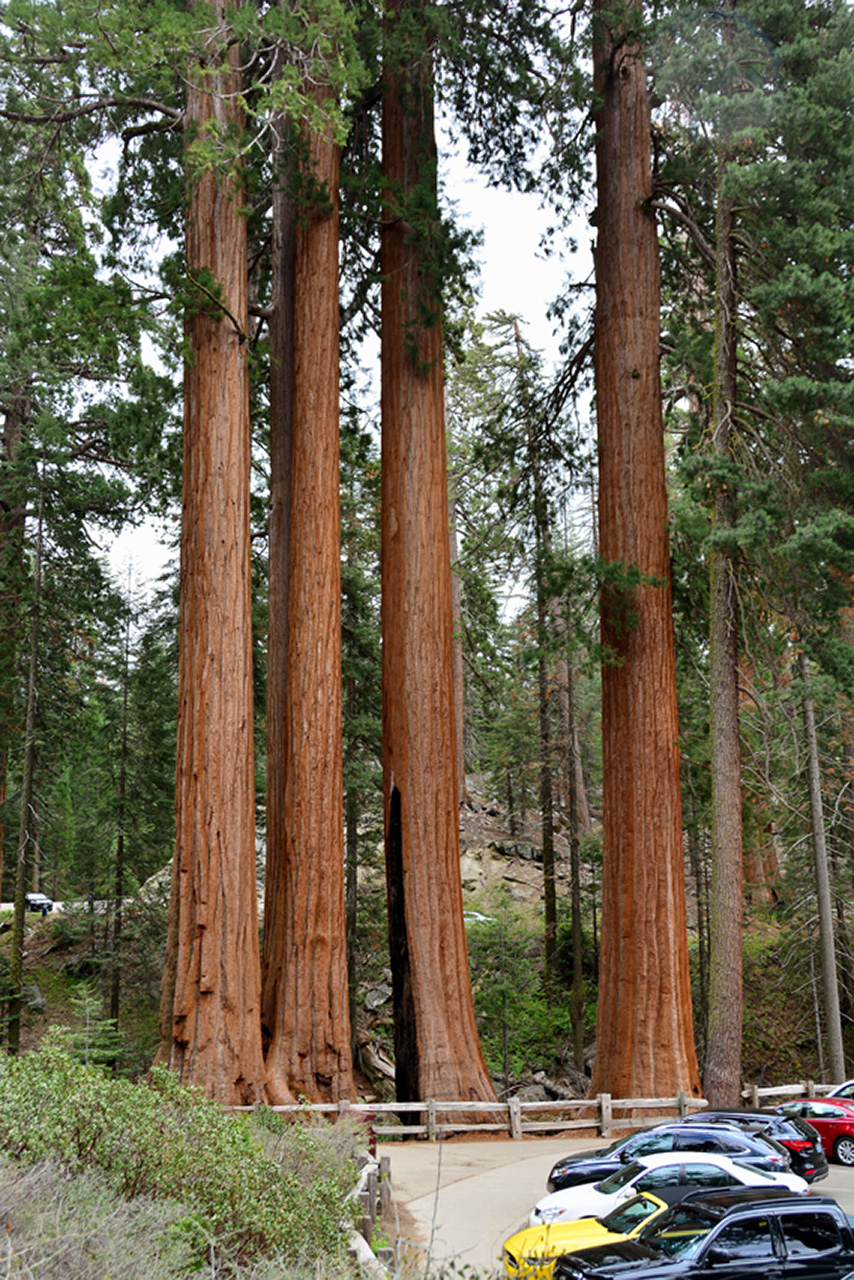 2016-05-24, 005, Kings Canyon National Park, CA