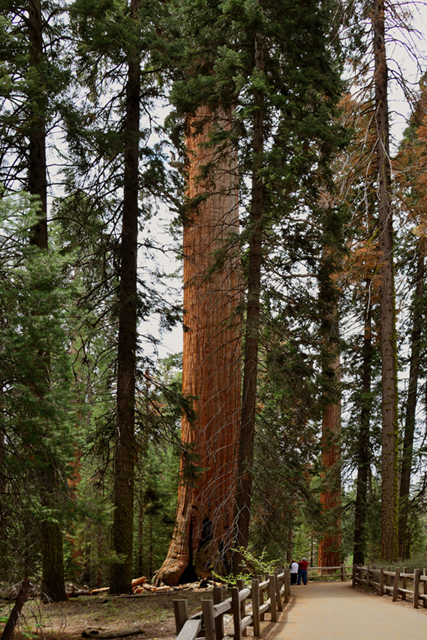 2016-05-24, 027, Kings Canyon National Park, CA