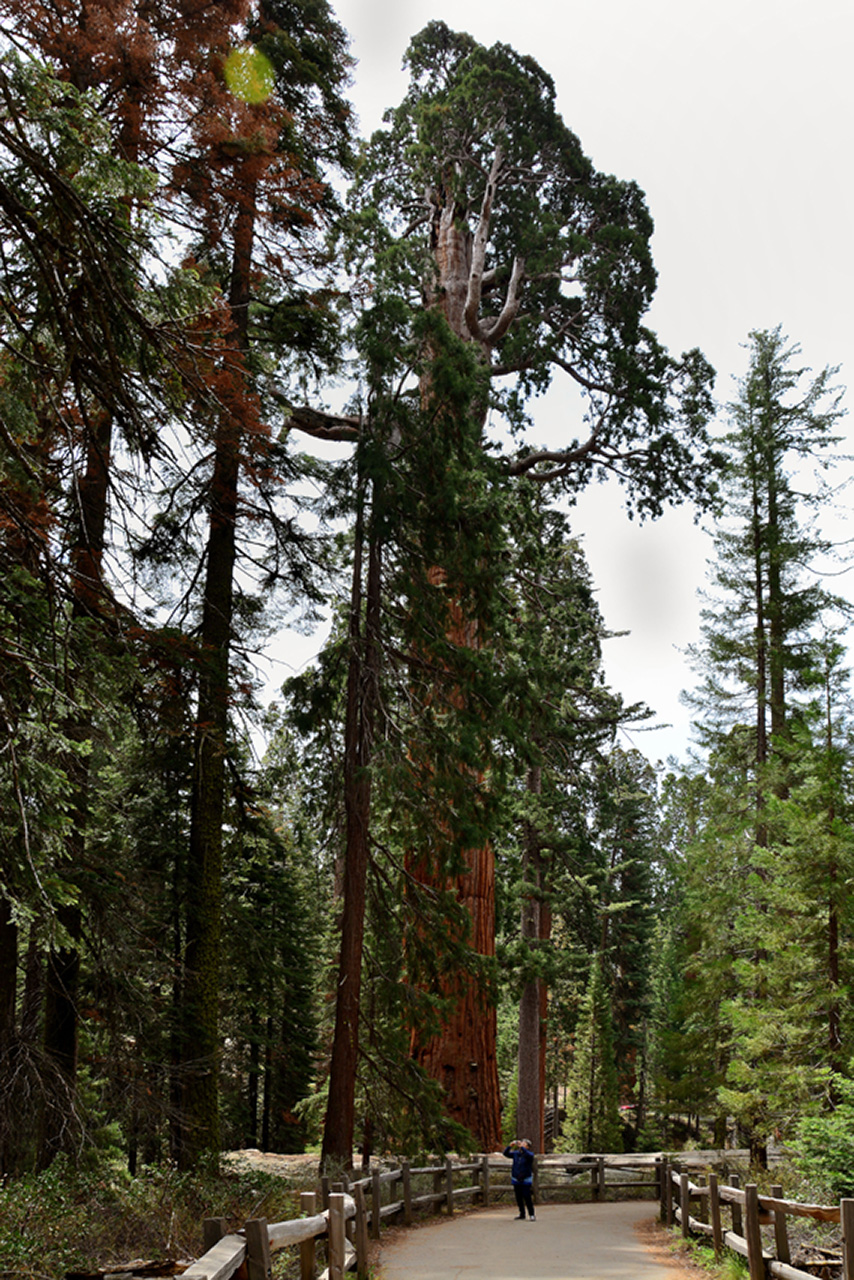 2016-05-24, 033, Kings Canyon National Park, CA