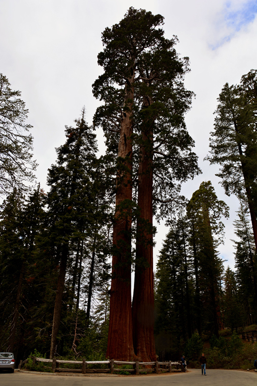2016-05-24, 042, Kings Canyon National Park, CA