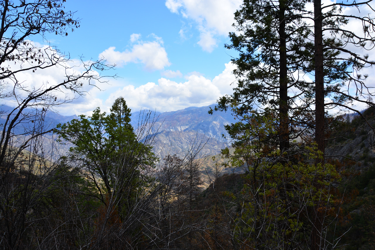 2016-05-24, 043, Kings Canyon National Park, CA