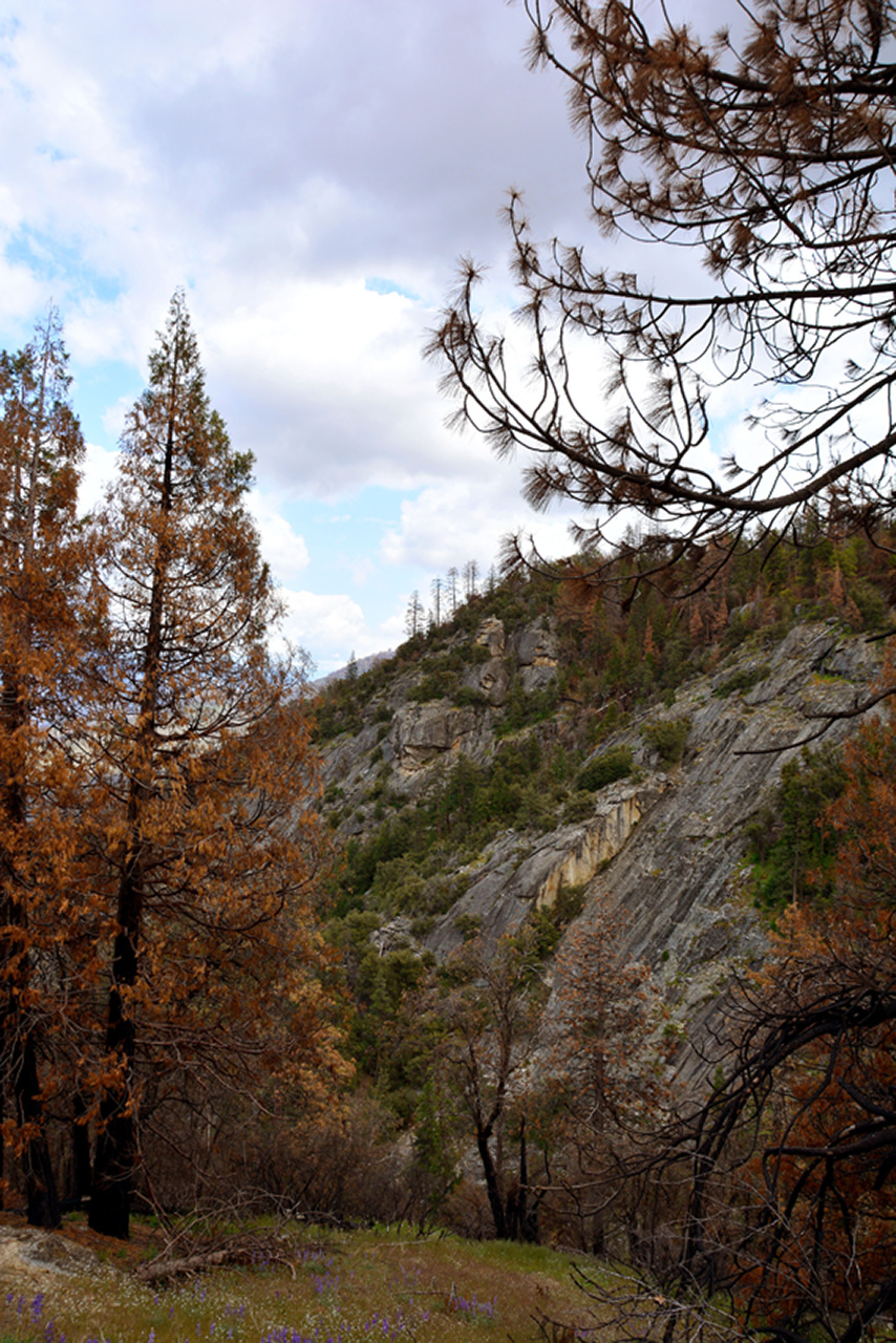 2016-05-24, 044, Kings Canyon National Park, CA