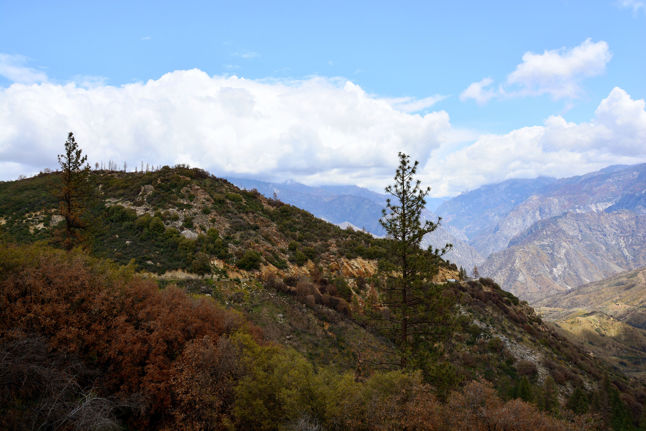2016-05-24, 047, Kings Canyon National Park, CA