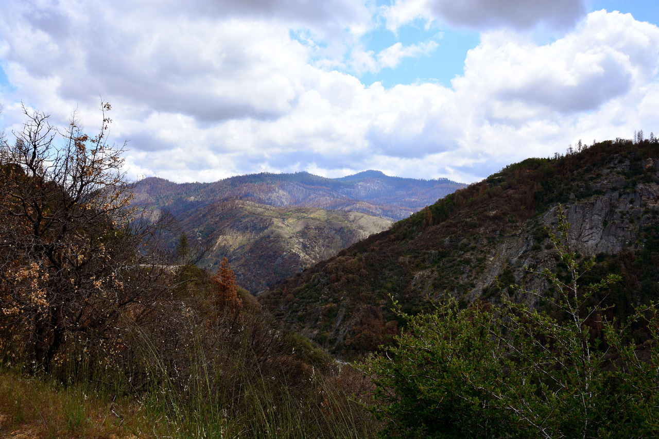 2016-05-24, 049, Kings Canyon National Park, CA