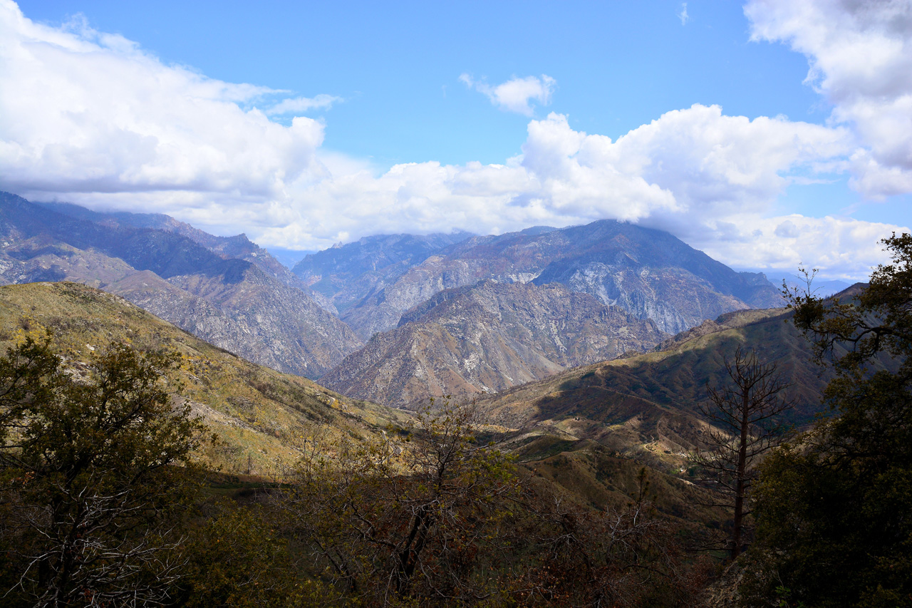 2016-05-24, 050, Kings Canyon National Park, CA