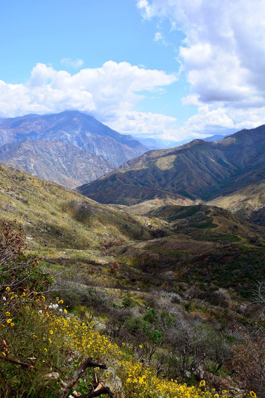 2016-05-24, 055, Kings Canyon National Park, CA
