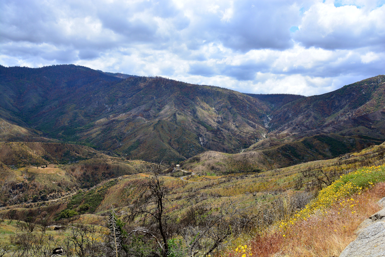 2016-05-24, 061, Kings Canyon National Park, CA