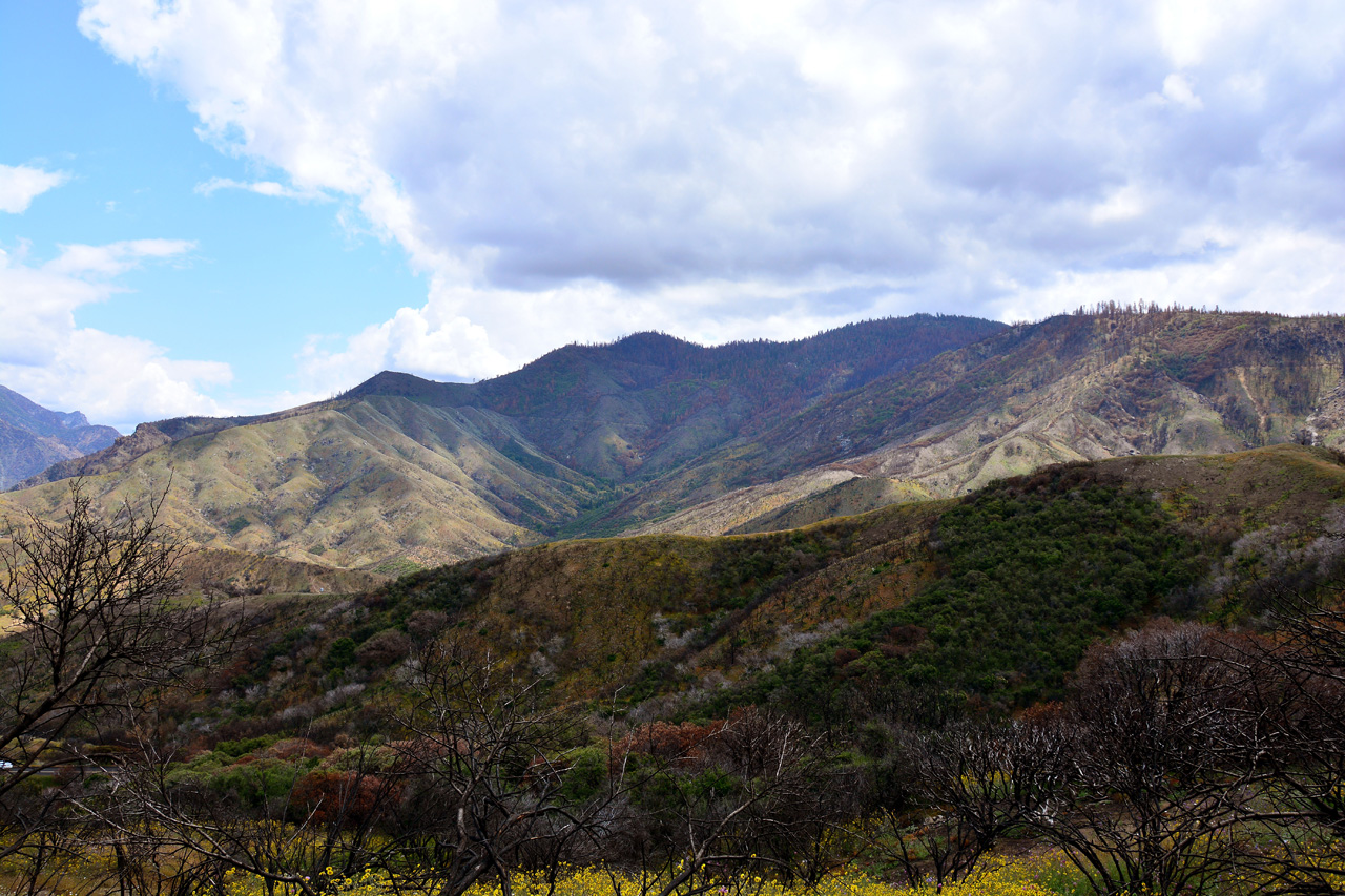 2016-05-24, 065, Kings Canyon National Park, CA