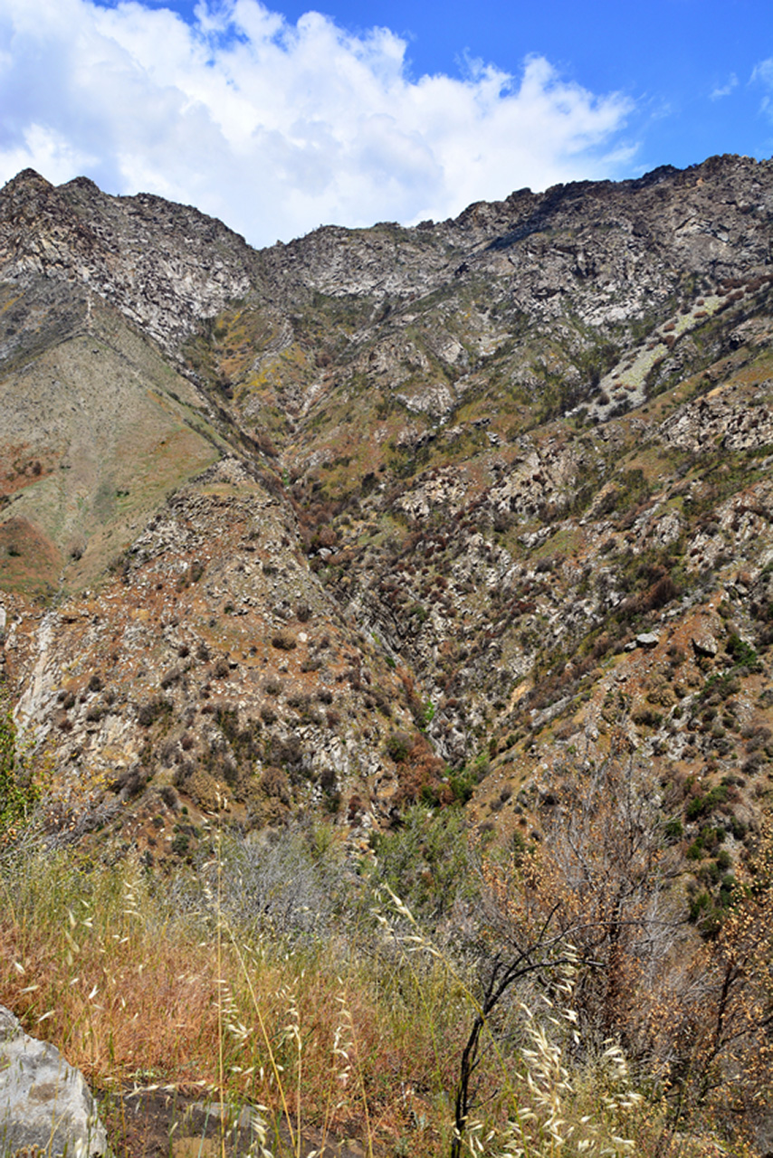 2016-05-24, 075, Kings Canyon National Park, CA