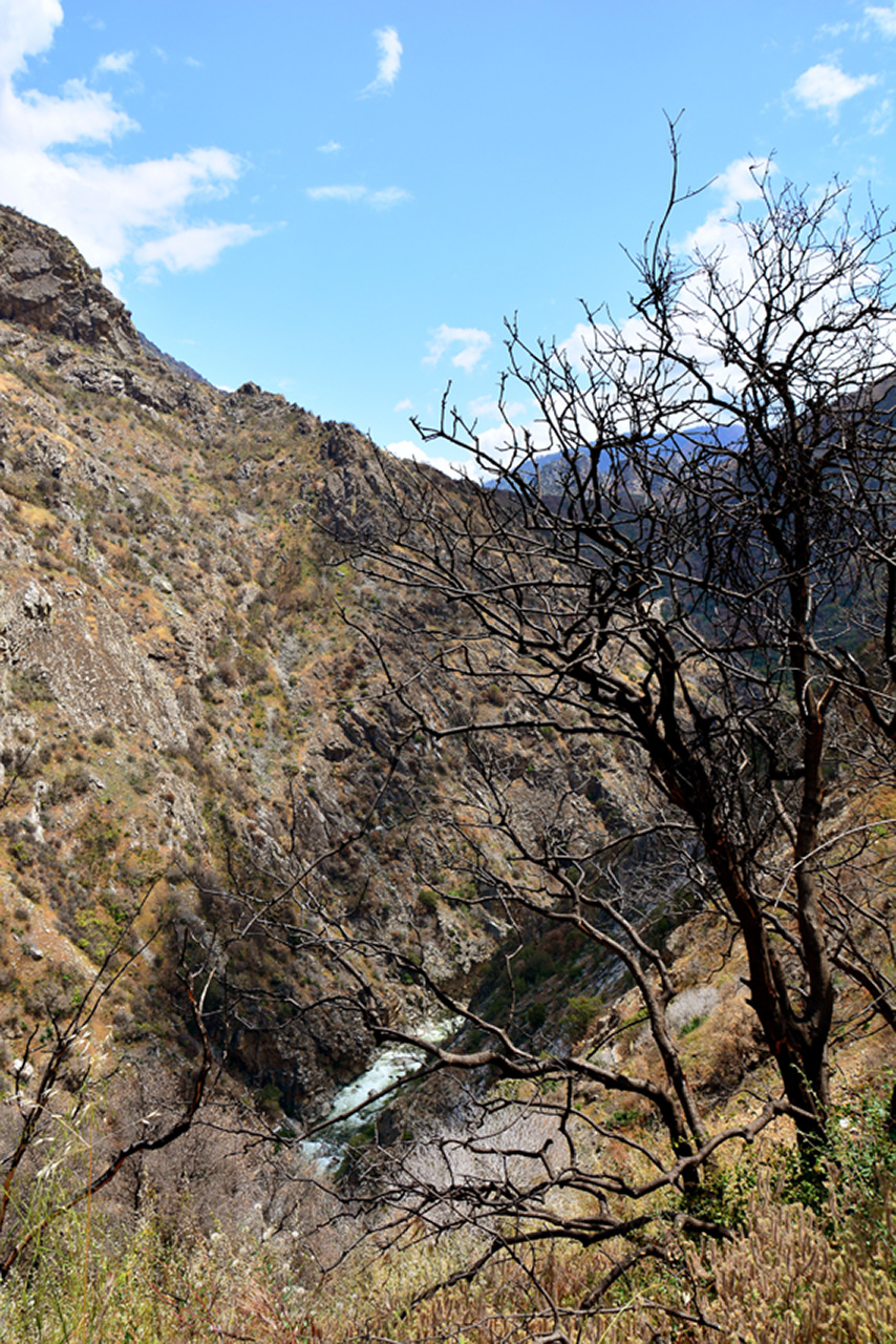 2016-05-24, 076, Kings Canyon National Park, CA