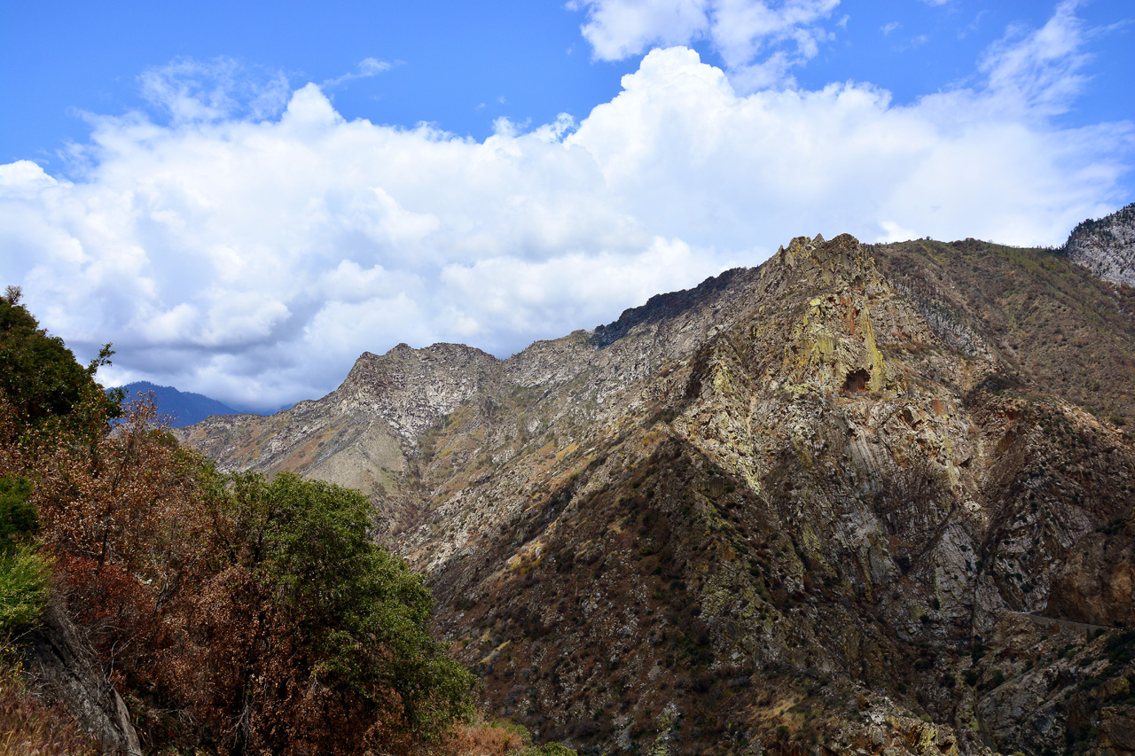 2016-05-24, 080, Kings Canyon National Park, CA