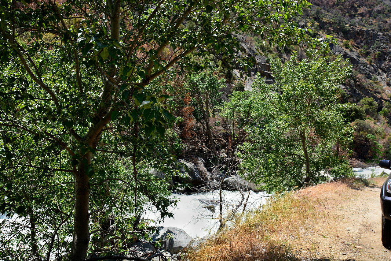 2016-05-24, 094, Kings Canyon National Park, CA