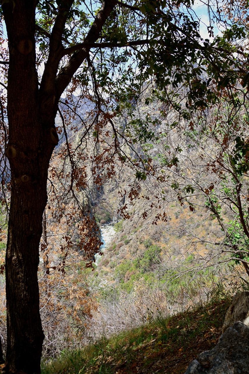 2016-05-24, 100, Kings Canyon National Park, CA