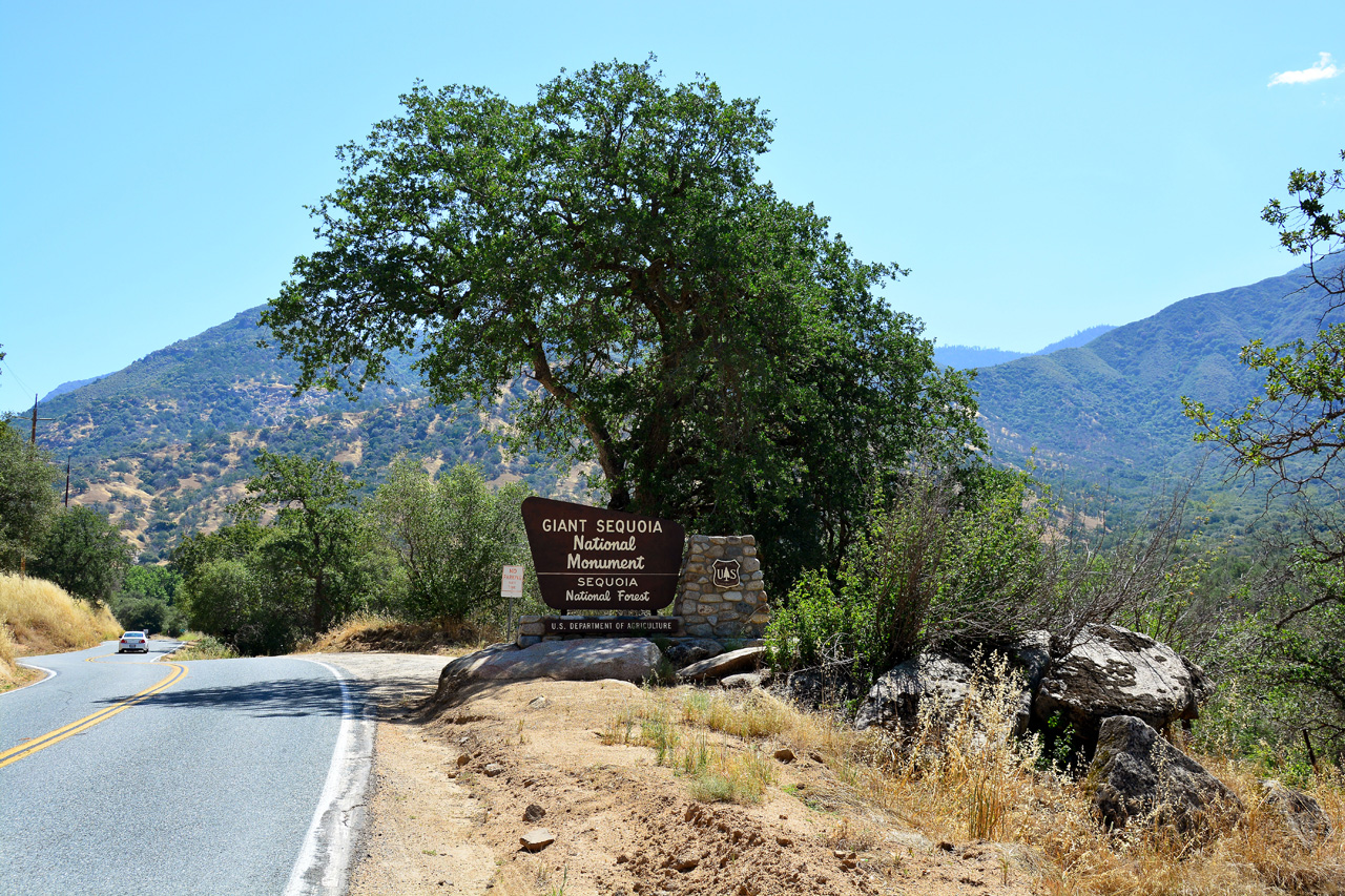 2016-05-19, 001, Ride along Rt 190 & Mtn 50 Sequoia NF