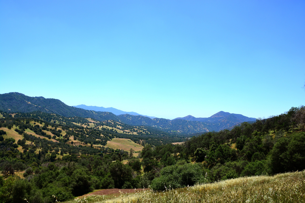 2016-05-19, 017, Ride along Rt 190 & Mtn 50 Sequoia NF