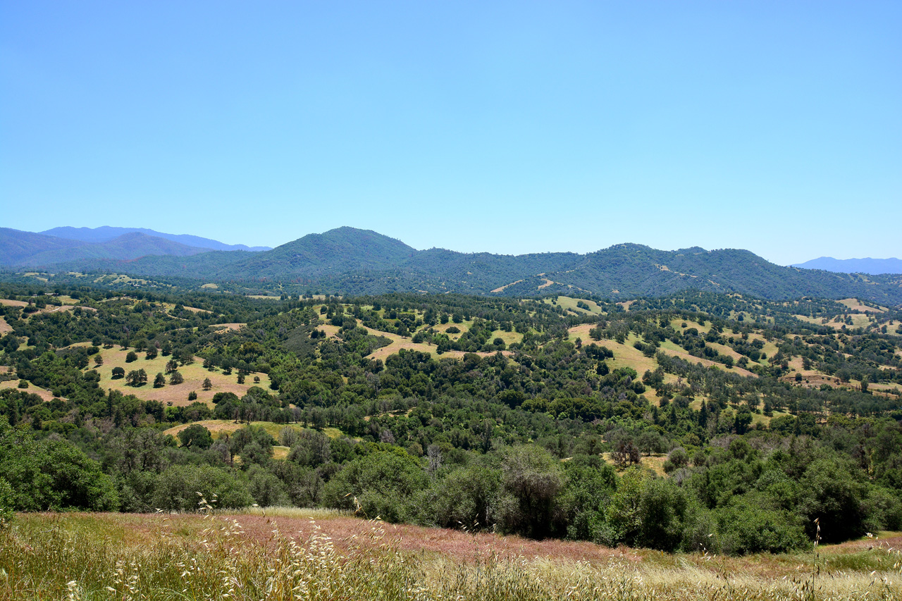 2016-05-19, 018, Ride along Rt 190 & Mtn 50 Sequoia NF